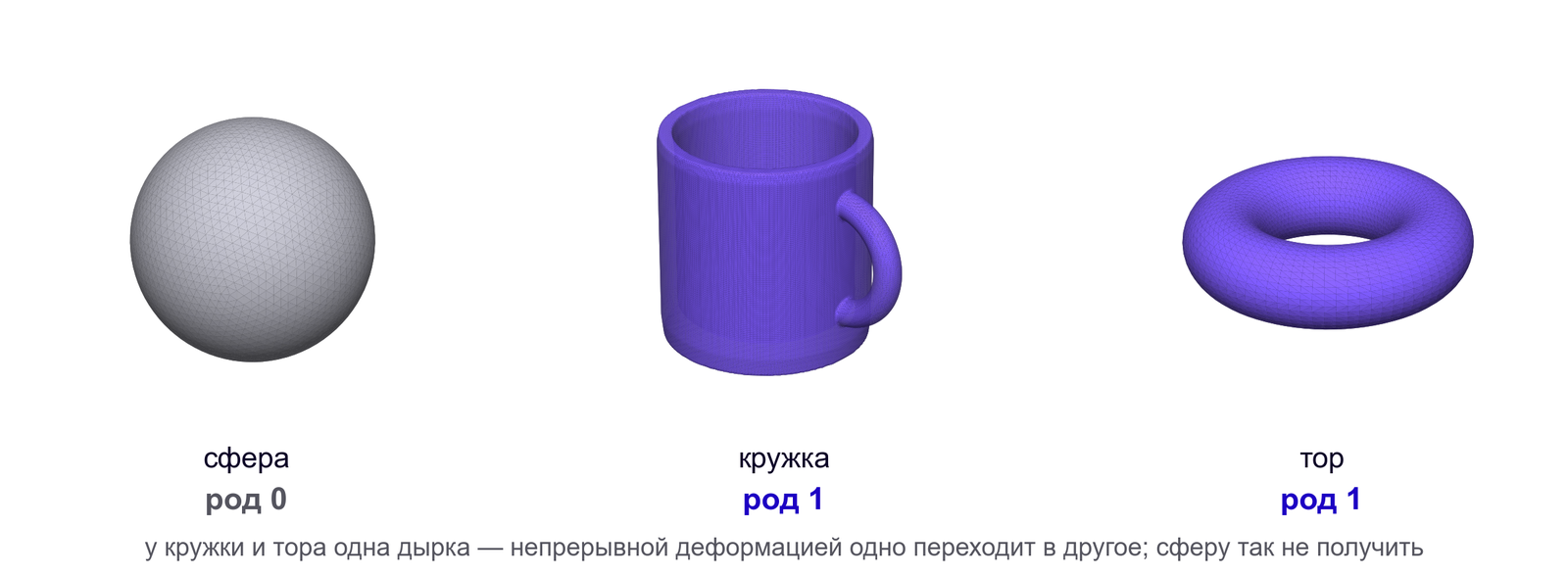 Кружка и тор